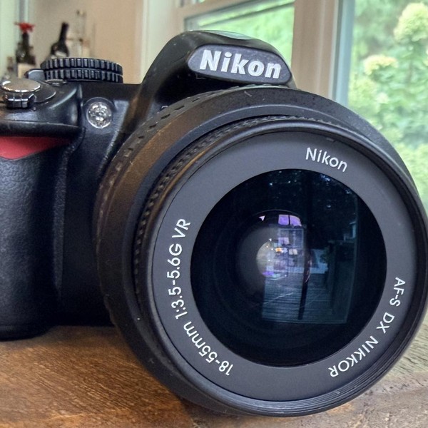Nikon D3100