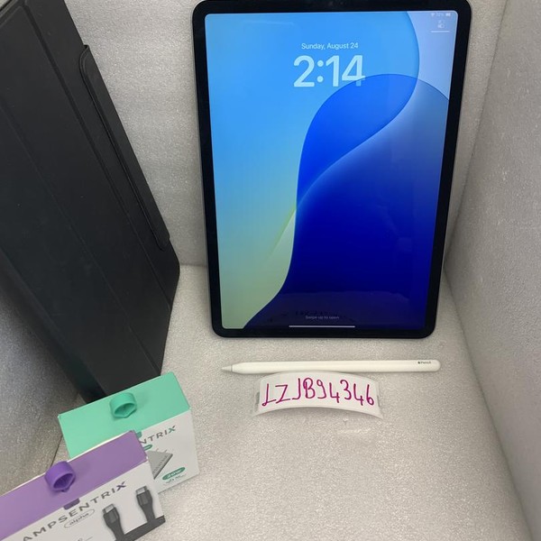 Apple iPad Pro 11 inch 4th Gen 2022 - Unlocked, 256 GB, Gray