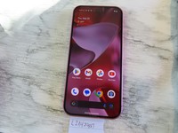 Google Pixel 9