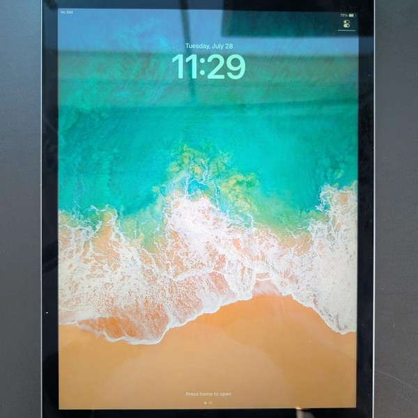Apple iPad Pro 12.9 inch 1st Gen 2015 - Unlocked, 128 GB, Gray, A1652, 1st Gen 2015