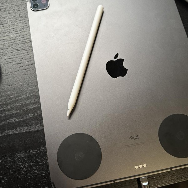 Apple iPad Pro 12.9 inch 5th Gen 2021 - Unlocked, 256 GB, Gray