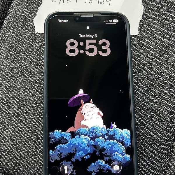 Apple iPhone 13 Pro Max - Unlocked, 128 GB, Graphite, A2484
