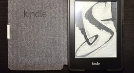 Mint
													Amazon Kindle Paperwhite - Amazon, Black, 4 GB, photo 1 of 5