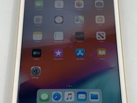 Apple iPad Mini 3