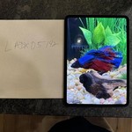 Mint Apple iPad Pro 11 inch (M4) 2024 - Unlocked, 256 GB, Black, 8 GB, A2837, Standard Glass