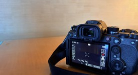 Good
													Sony a1, photo 4 of 8