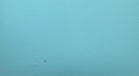 New
													Apple iPhone 16e - Unlocked, White, 128 GB, A3212, photo 4 of 5