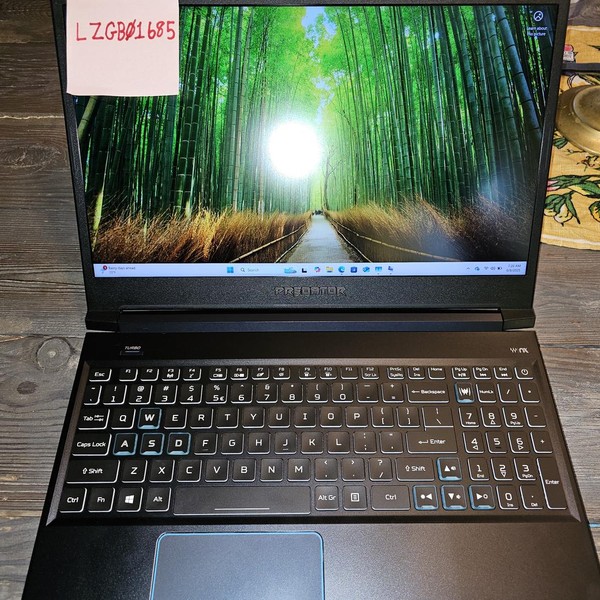 Acer Predator Gaming Laptop