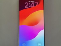Apple iPhone 16 Pro Max