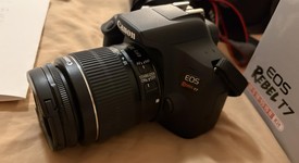 Mint
													Canon EOS Rebel T7, photo 3 of 6