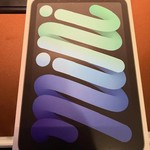Mint Apple iPad Mini (7th Gen) - Unlocked, 128 GB, Gray, A2995