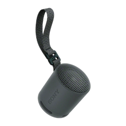 XB100 Wireless Bluetooth Speaker for sale