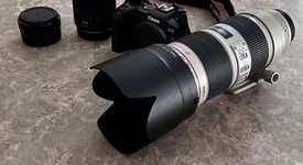 Mint
													Canon EOS R, photo 4 of 6