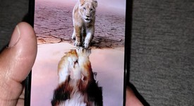 Good
													Xiaomi 12T Pro - Unlocked Non-US, Black, 256 GB, 8 GB, photo 5 of 18