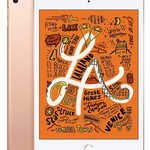Good Apple iPad Mini 5th Gen - Wi-Fi, Gray, 64 GB