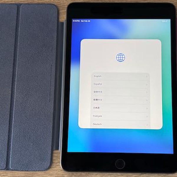 Apple iPad Mini 5th Gen - Unlocked, 256 GB, Gray