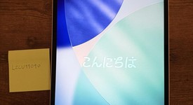 Mint
													Apple iPad Pro 12.9" 4th Gen 2020 - Wi-Fi, Silver, 256 GB, A2229, photo 1 of 20