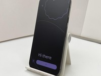 Google Pixel 9 Pro XL