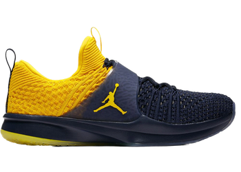 Jordan Trainer 2 Flyknit Michigan for sale