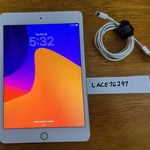 Mint Apple iPad Mini 5th Gen - Unlocked, 256 GB, Gold