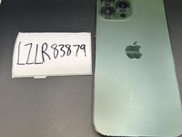 Apple iPhone 13 Pro Max