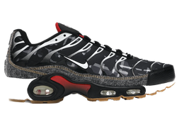Air Max Plus Remix for sale