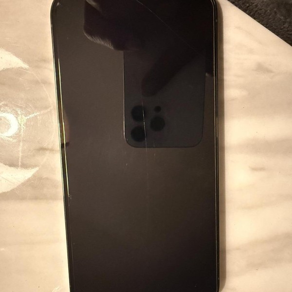 Apple iPhone 13 Pro Max - Unlocked, 256 GB, Green, A2484