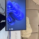 Mint Dell Monitor