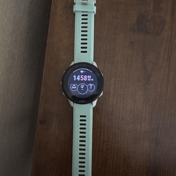 Garmin Forerunner 955 - White, Standard