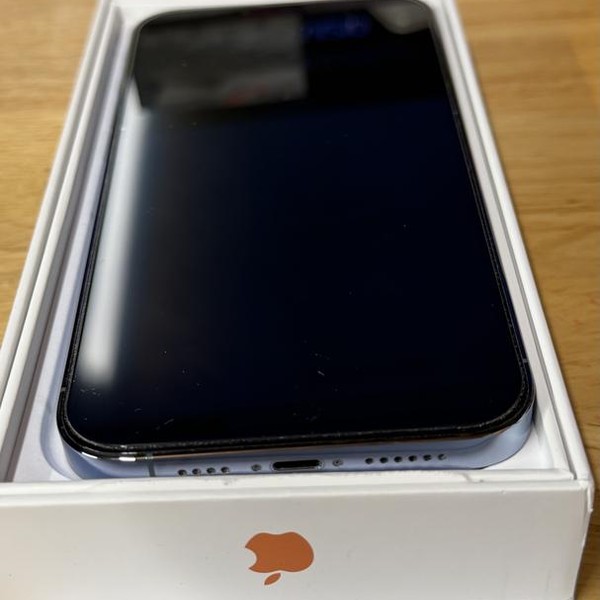 Apple iPhone 13 Pro Max - Unlocked, 1 TB, Silver, A2484