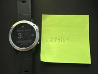 Garmin Fenix 6