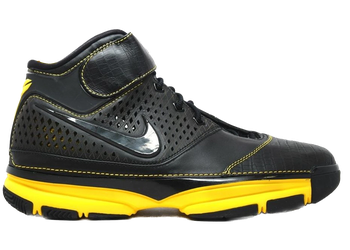 Nike Zoom Kobe 2 Carpe Diem for sale