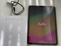 Apple iPad Air 4th Gen