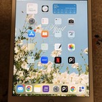 Good Apple iPad (7th Gen) - Wi-Fi, 32 GB, Gold, A2197