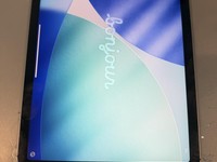 Apple iPad Air 4th Gen