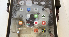 Mint
													Apple iPad 9th Gen - Wi-Fi, Gray, 64 GB, A2602, photo 3 of 9