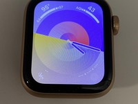 Apple Watch SE 1st Gen 40mm