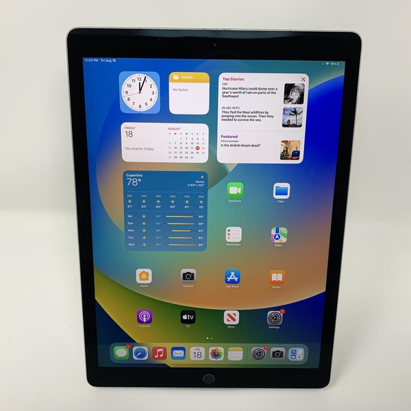 Apple iPad Pro 12.9 inch 2nd Gen 2017 - Unlocked, 256 GB, Gray