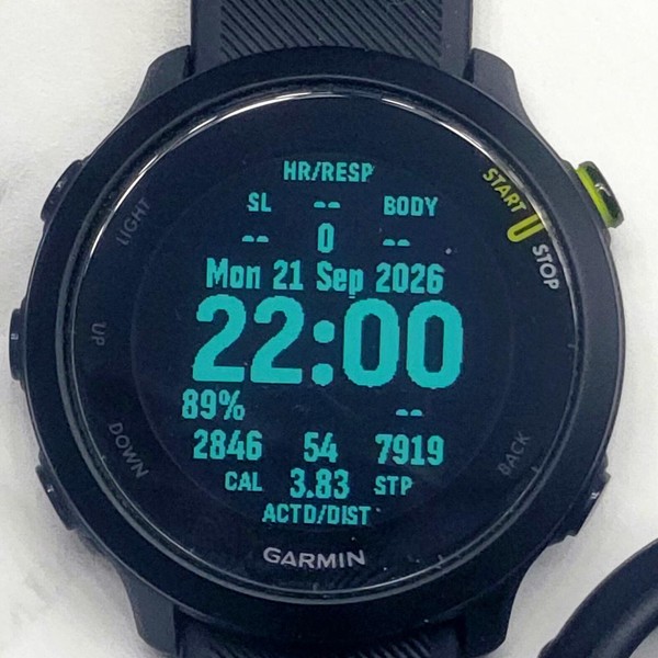 Garmin Forerunner 55 - Black