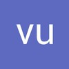 vu n.
