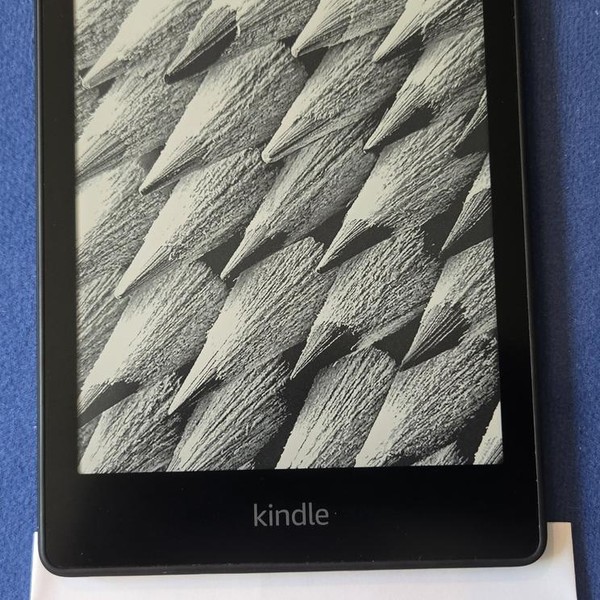 Amazon Kindle Paperwhite 11th Gen 2021 - Amazon, 32 GB, Black