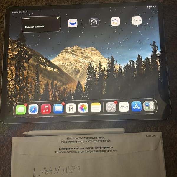 Apple iPad Pro 12.9 inch 6th Gen 2022 - Unlocked, 2 TB, Gray