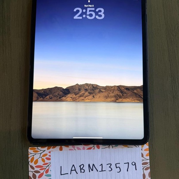 Apple iPad Pro 13 inch (M4) 2024 - Wi-Fi, 1 TB, Black, 16 GB, A2925, Standard Glass