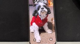 Mint
													Apple iPhone 15 Pro - Unlocked, White, 128 GB, A2848, photo 1 of 7