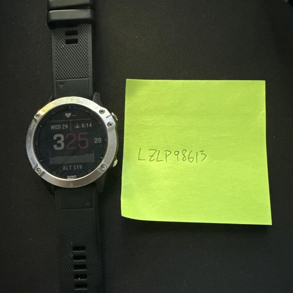 Garmin Fenix 6 - Black, Regular