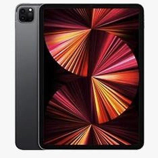 Apple iPad Pro 11 inch 3rd Gen 2021 - Unlocked, Gray, 256 GB