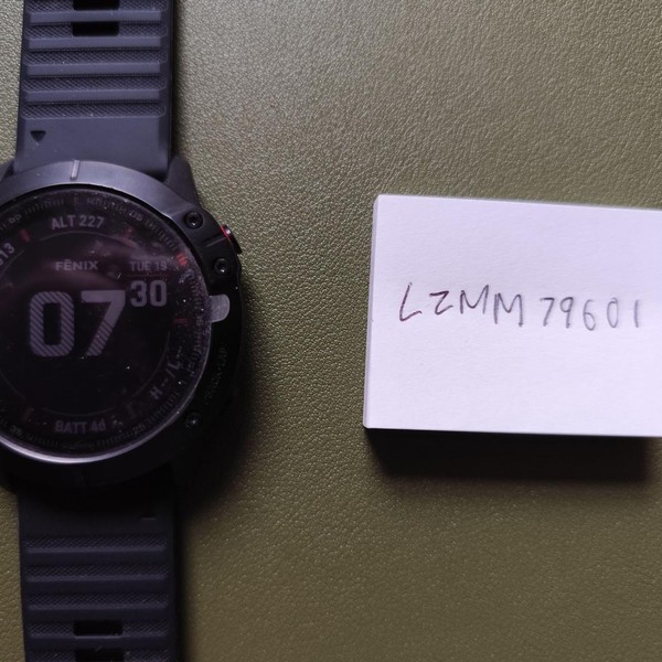 Garmin Fenix 6X - Black, Pro