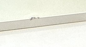 Good
													Apple iPad Pro 11" 4th Gen 2022 - AT&T, Silver, 256 GB, photo 5 of 8