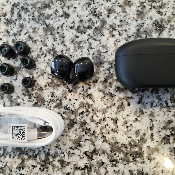 Sony WF-1000XM5 - Black