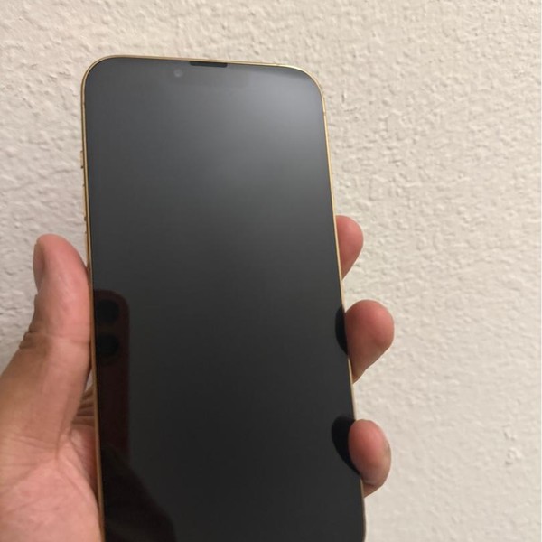 Apple iPhone 13 Pro Max - Unlocked, 256 GB, Gold, A2484